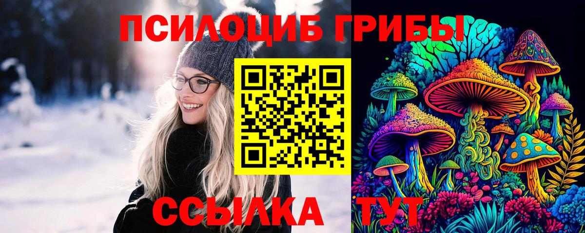 Ярцево  Галлюциногенные грибы Psilocybine cubensis  Вход с VPN 